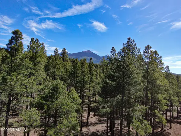7690 W Taylor Springs Lane, Flagstaff, AZ 86001