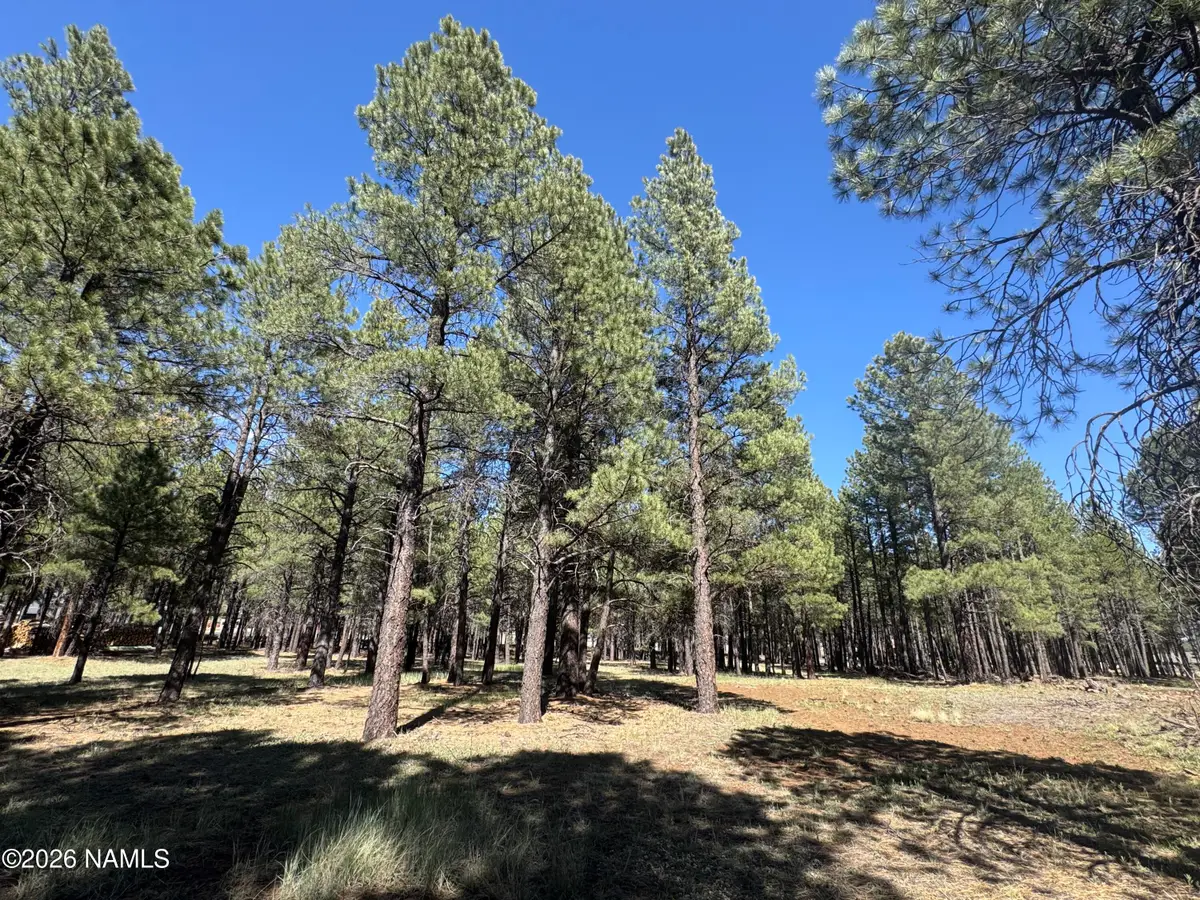 8252 Vista Peak Way, Flagstaff, AZ 86001 - #1