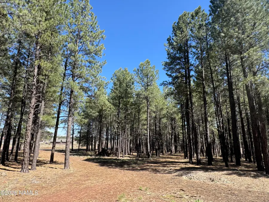 8252 Vista Peak Way, Flagstaff, AZ 86001 - #3