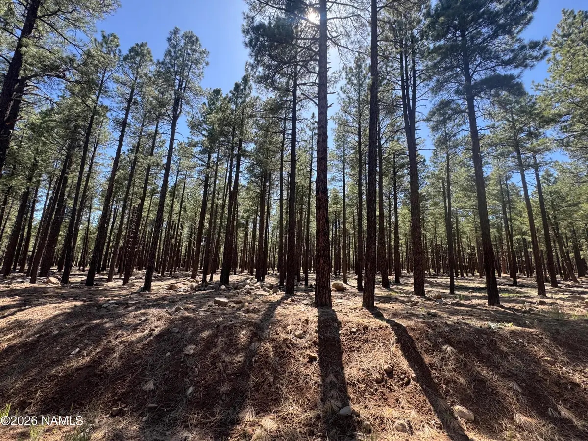 9576 Ranch At The Peaks Way, Flagstaff, AZ 86001 - #1