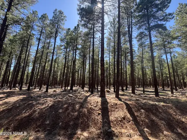 9576 Ranch At The Peaks Way, Flagstaff, AZ 86001