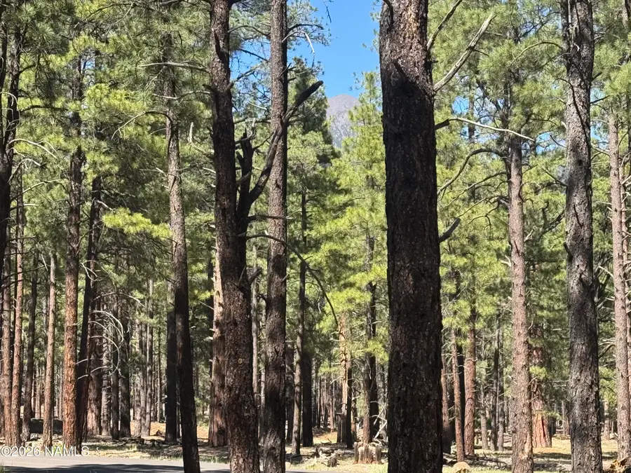 9576 Ranch At The Peaks Way, Flagstaff, AZ 86001 - #2