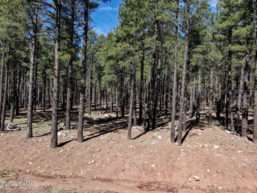 9576 Ranch At The Peaks Way, Flagstaff, AZ 86001 - #3