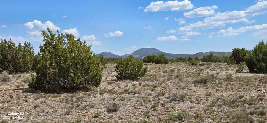 227 Mountain Cat Road, Williams, AZ 86046 - #3