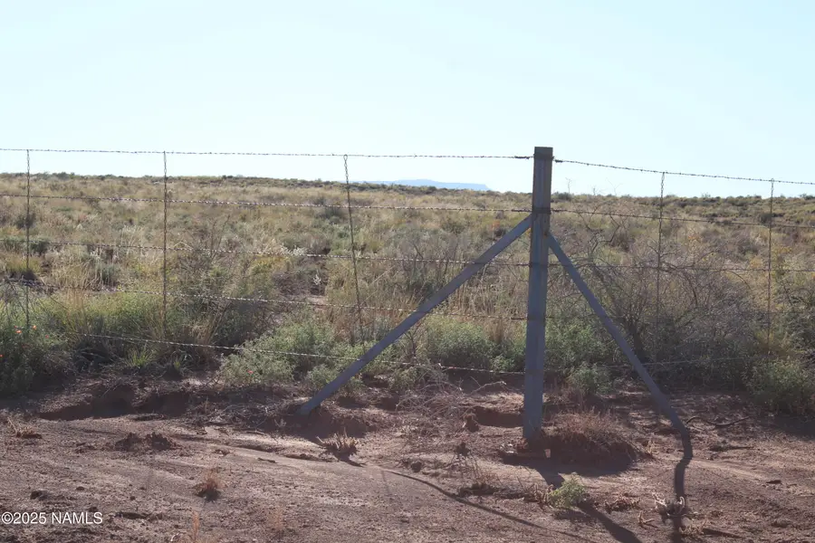 148 Red Dog Road, Winslow, AZ 86047 - #2