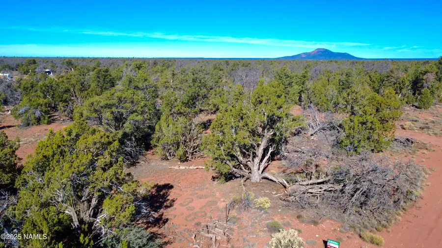 5690 N Cubby Bear Way, Williams, AZ 86046 - #3