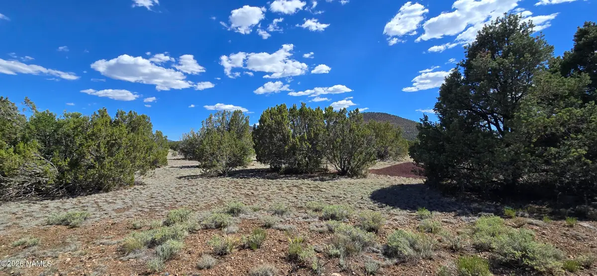 7950 Daisy Drive, Williams, AZ 86046 - #1