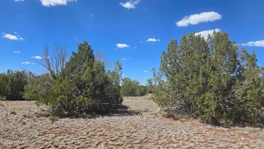 7950 Daisy Drive, Williams, AZ 86046 - #3