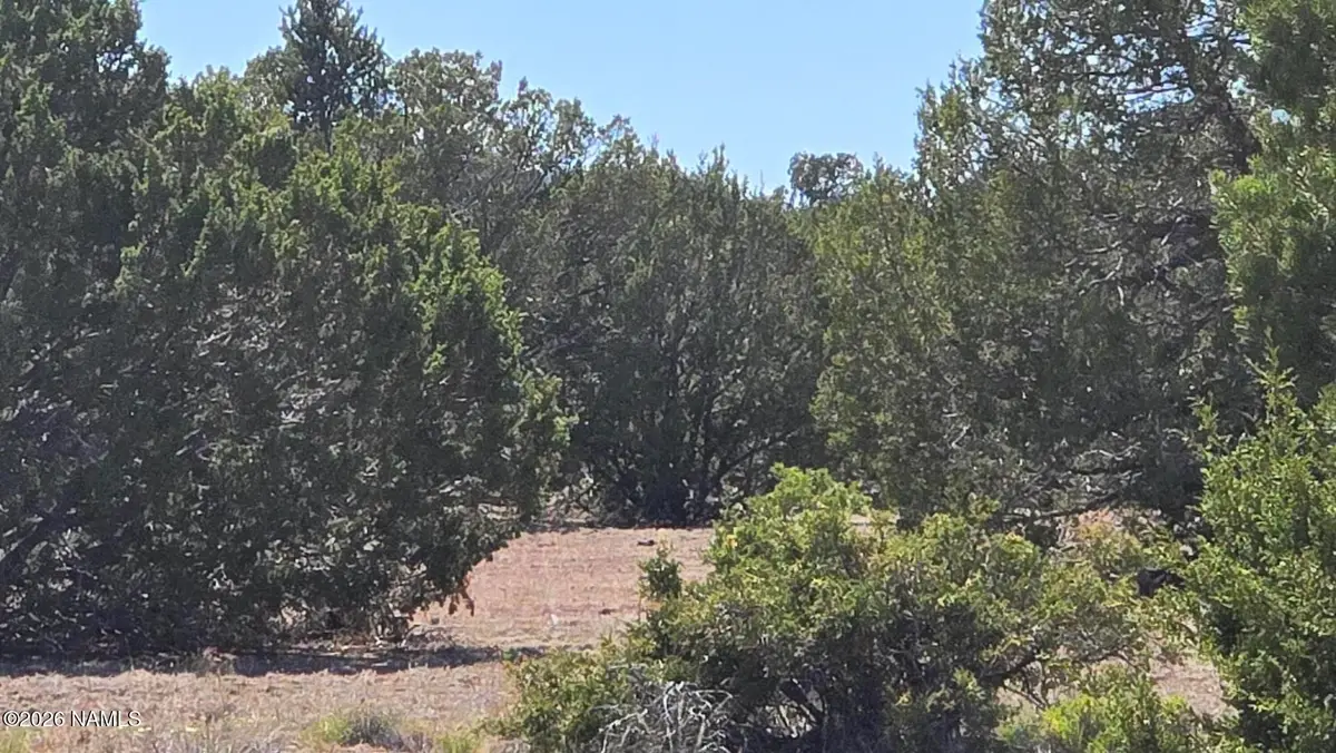 8012 Daisy Drive, Williams, AZ 86046 - #1