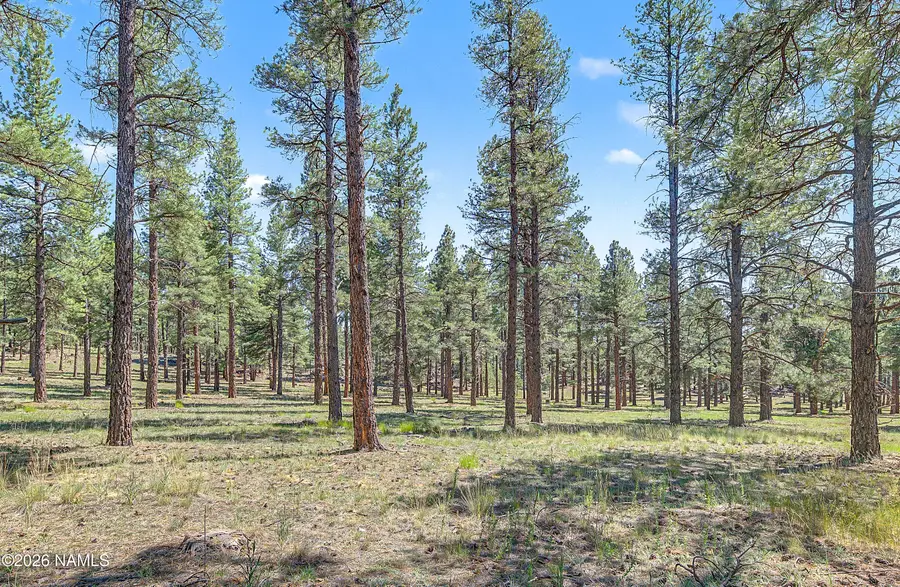 7264 E Long Bow Drive, Williams, AZ 86046 - #2
