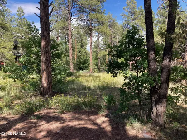17375 Crystal Brook Place, Munds Park, AZ 86017