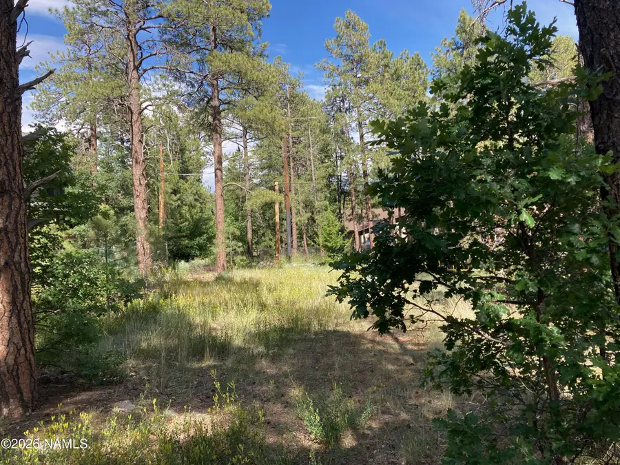 17375 Crystal Brook Place, Munds Park, AZ 86017 - #2