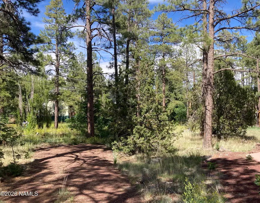 17375 Crystal Brook Place, Munds Park, AZ 86017 - #3