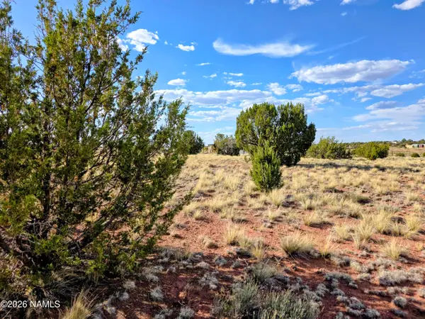 3515 Waverly Drive, Williams, AZ 86046