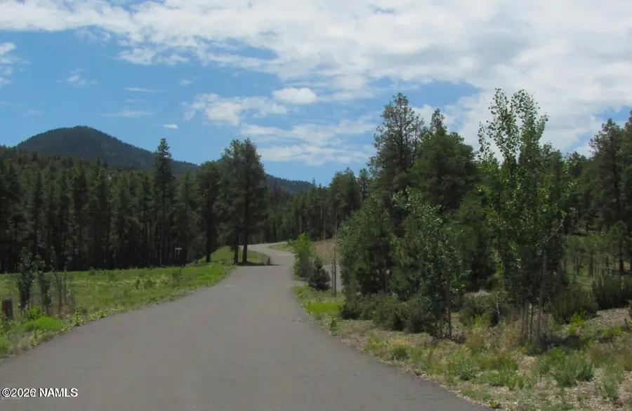1039 Timbernook, Williams, AZ 86046 - #2