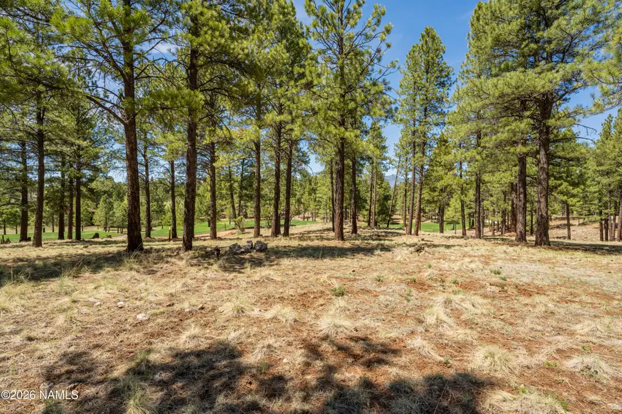 3663 S Woodland Hills Drive, Flagstaff, AZ 86005 - #2
