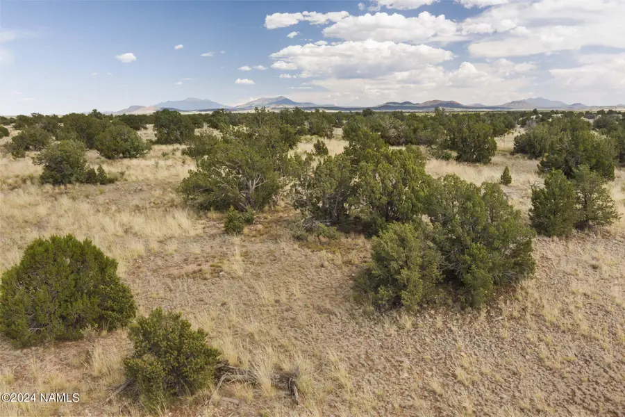 851 S Wyandotte Road, Williams, AZ 86046 - #2