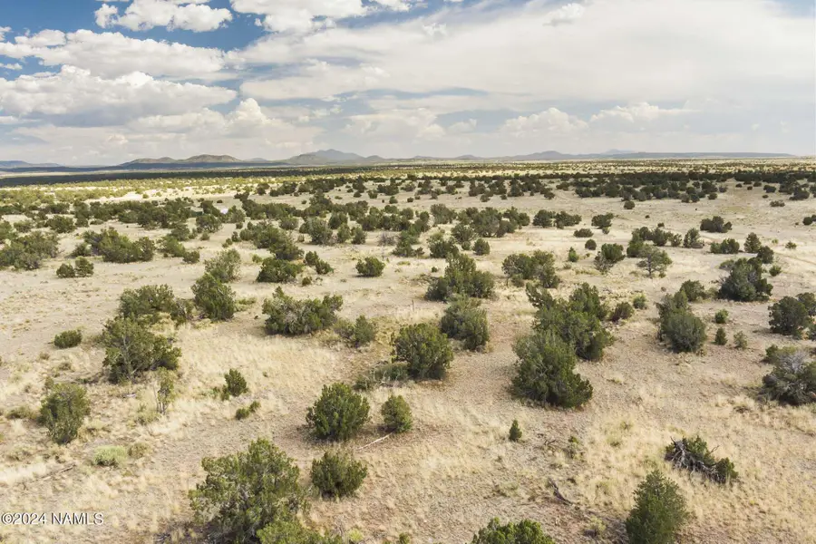 851 S Wyandotte Road, Williams, AZ 86046 - #3
