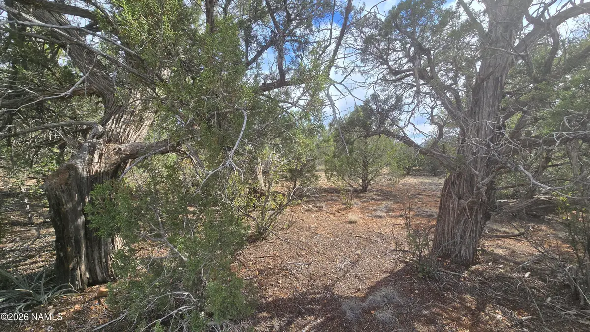 5476 N Forest Line Road, Williams, AZ 86046 - #1