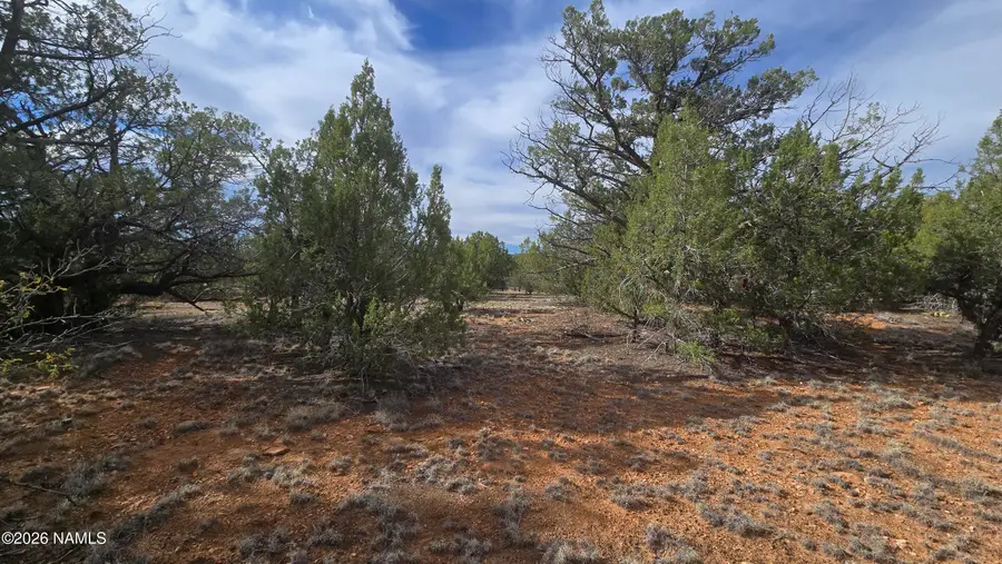 5476 N Forest Line Road, Williams, AZ 86046 - #3