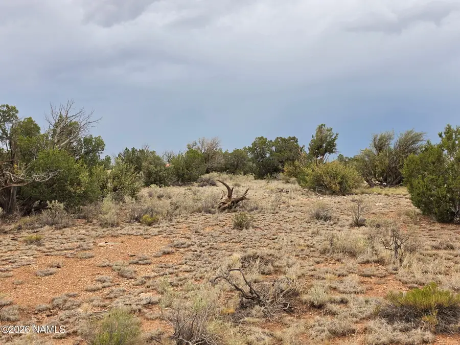 2723 Coldwater Drive, Williams, AZ 86046 - #2