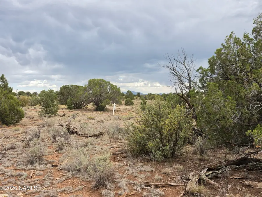 2723 Coldwater Drive, Williams, AZ 86046 - #3