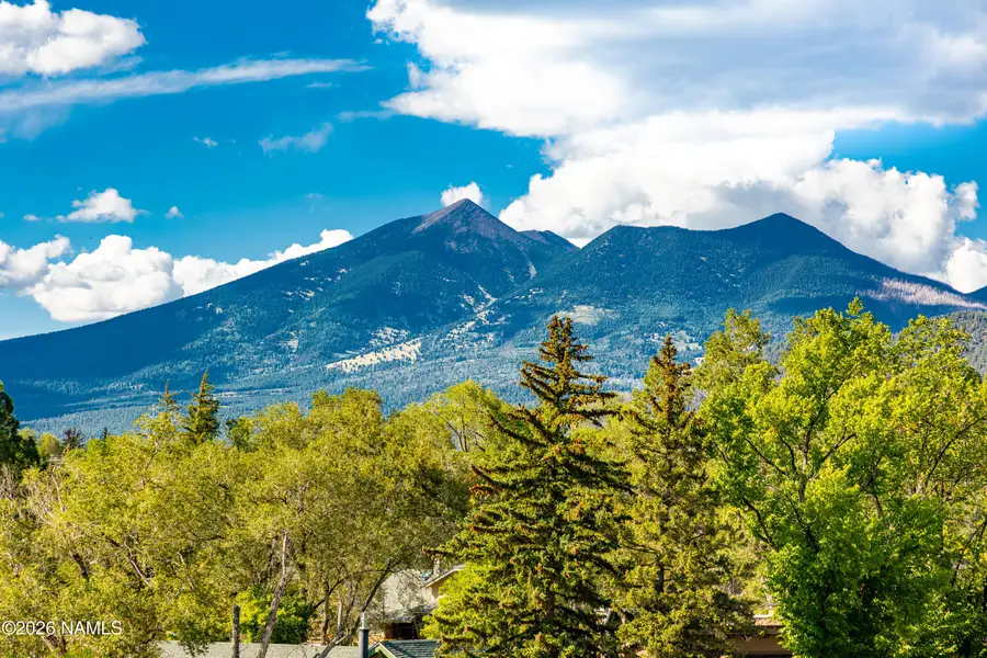 310 W Birch Avenue, Flagstaff, AZ 86001 - #2
