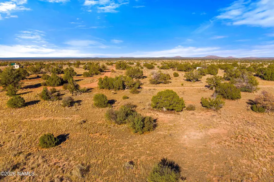 3916 S Madera Drive, Williams, AZ 86046 - #2