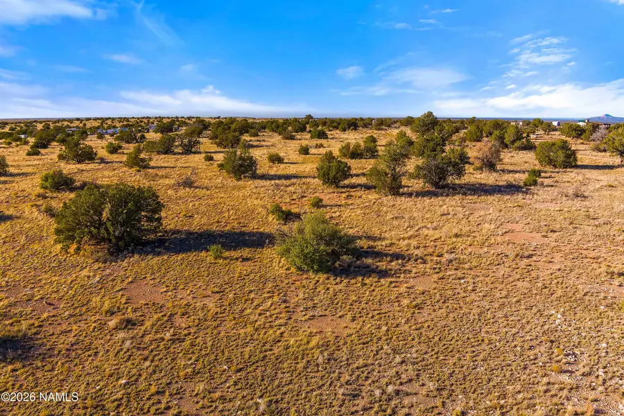 3916 S Madera Drive, Williams, AZ 86046 - #3