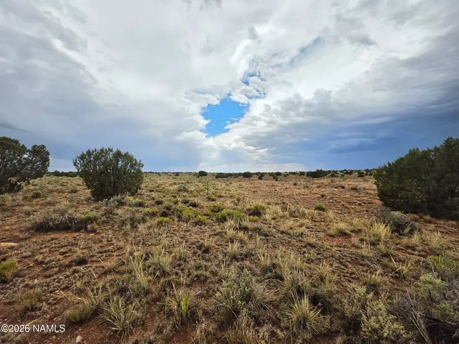 3975 E Silver Valley Road, Williams, AZ 86046 - #3