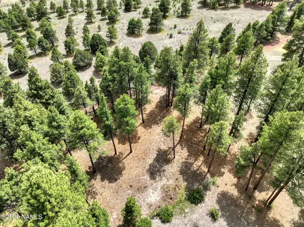 12847 E Dream Acres Lane, Williams, AZ 86046