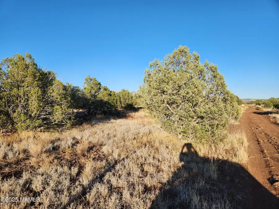3405 W Pinto Drive, Ash Fork, AZ 86320 - #3