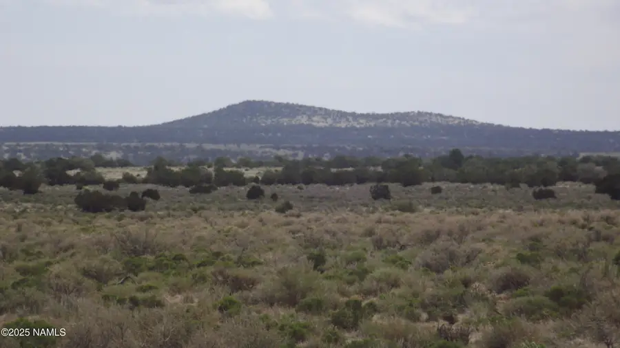2701 E Leslie Way, Williams, AZ 86046 - #2