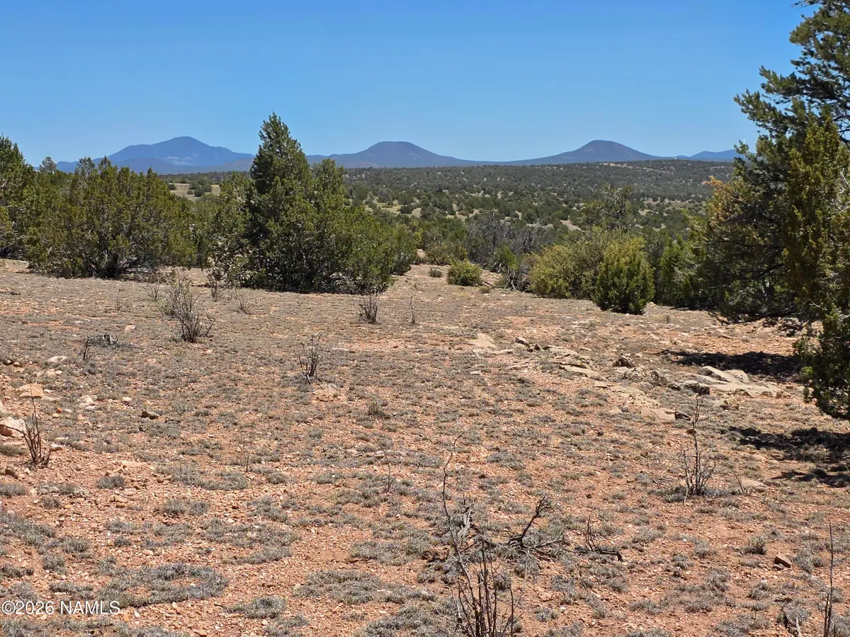 9966 Northstar Road, Williams, AZ 86046 - #1