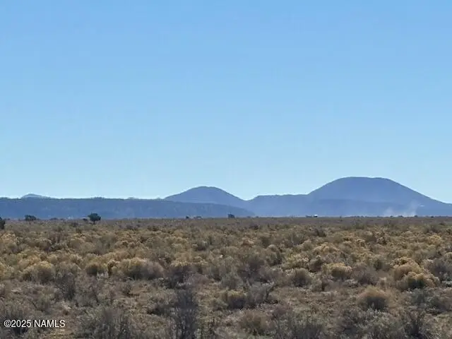 6043 S Majestic View - Lot A Trail, Williams, AZ 86046 - #2