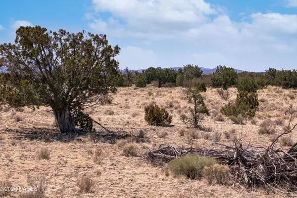 000 W Calle Adan, Seligman, AZ 86337