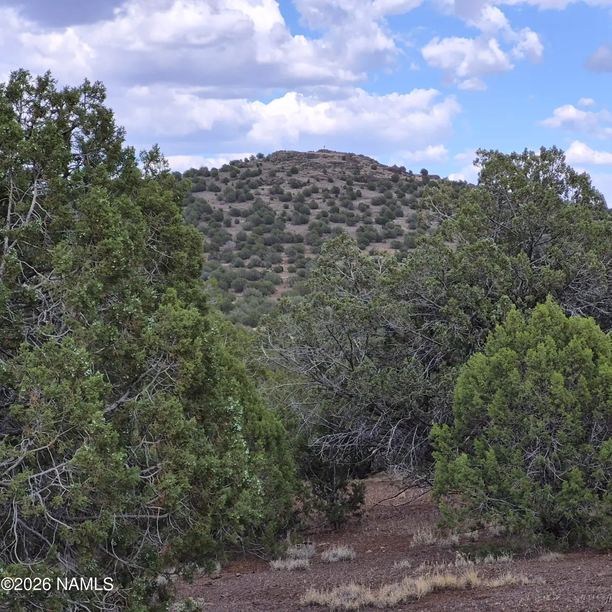 4180 N Muriel Drive, Williams, AZ 86046 - #1