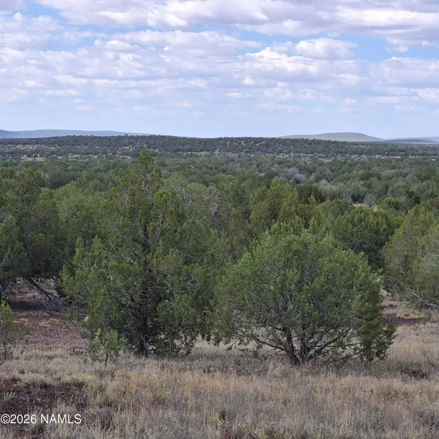 4180 N Muriel Drive, Williams, AZ 86046 - #3