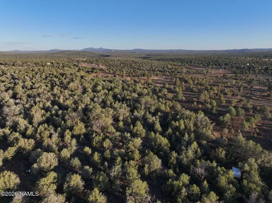 1258 W Terry Lane, Williams, AZ 86046 - #2