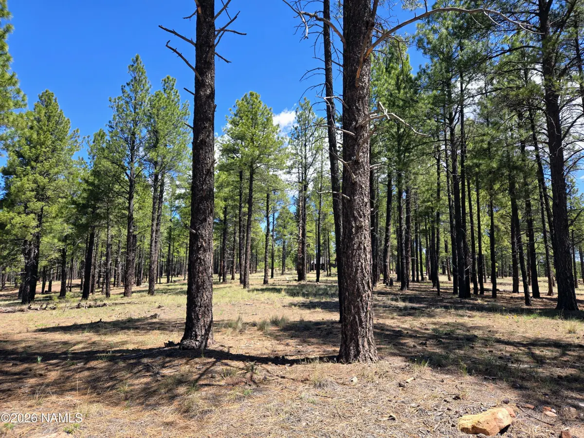 4611 E Monroe Street, Flagstaff, AZ 86004 - #1