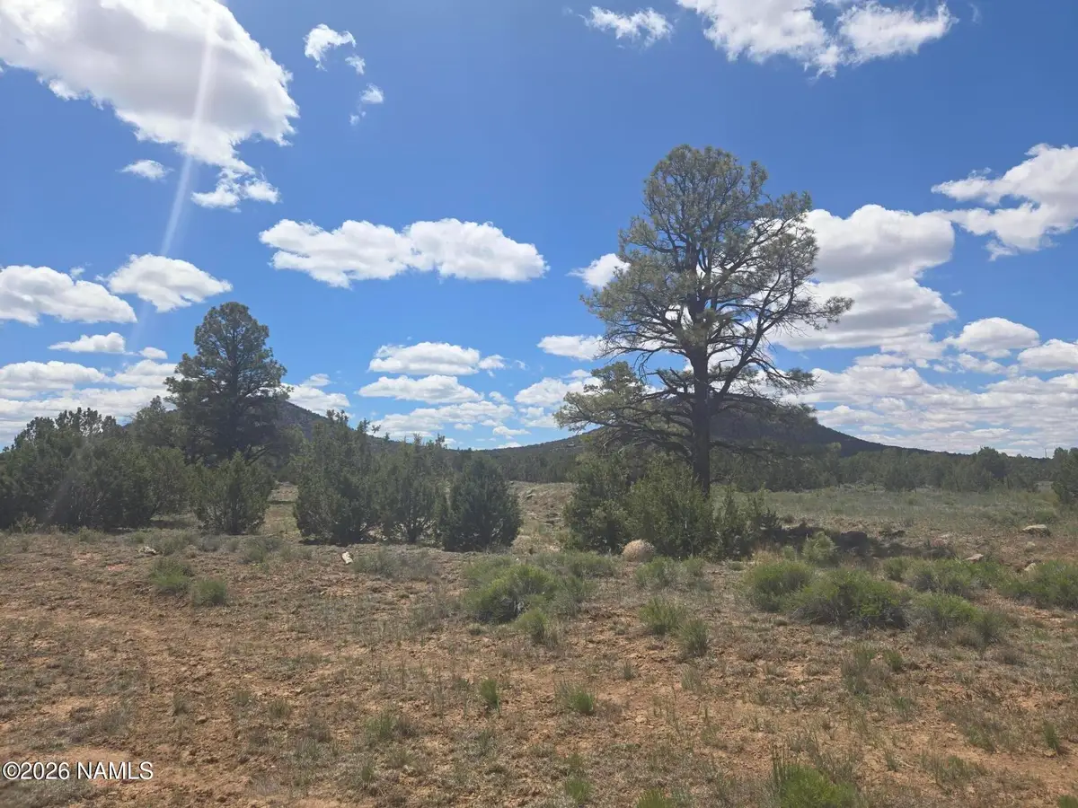7434 N Elk Run Trail, Williams, AZ 86046 - #1