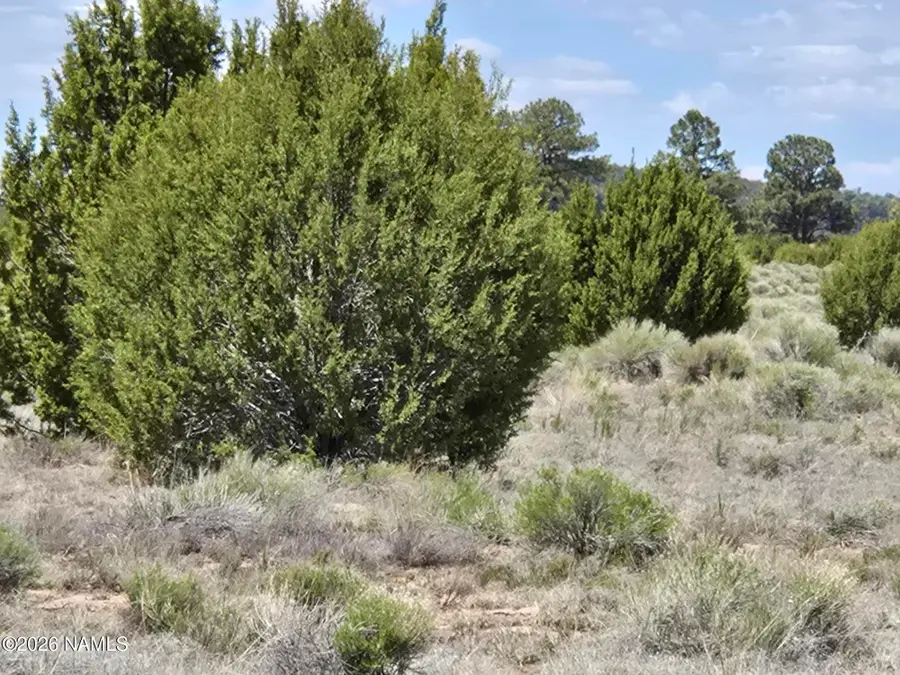 7434 N Elk Run Trail, Williams, AZ 86046 - #3