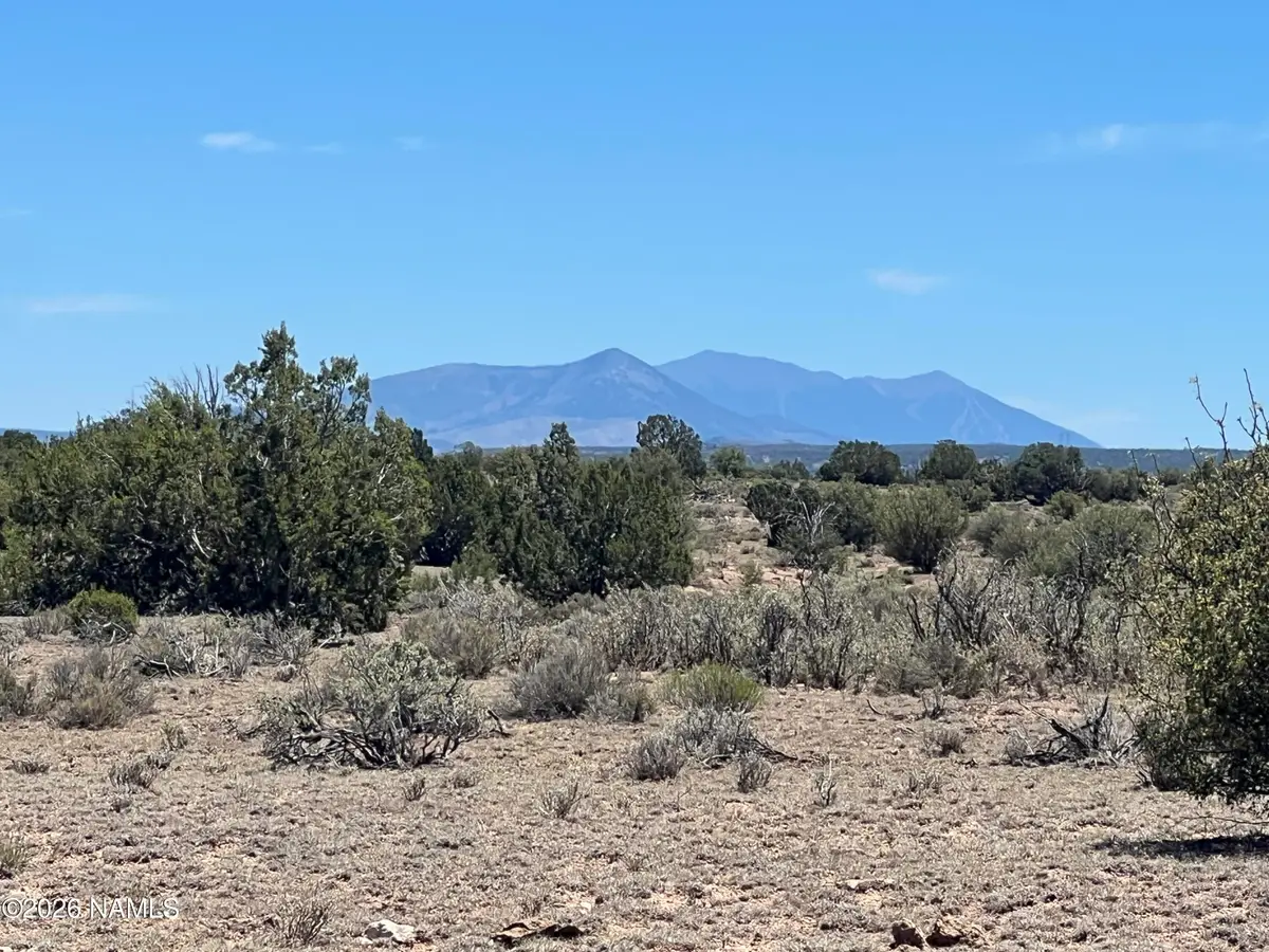 5430 Red Moon Trail, Williams, AZ 86046 - #1