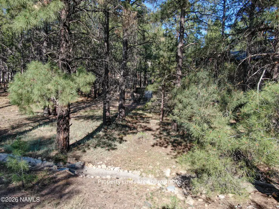 4405 E Dreamy Lane, Flagstaff, AZ 86004 - #3