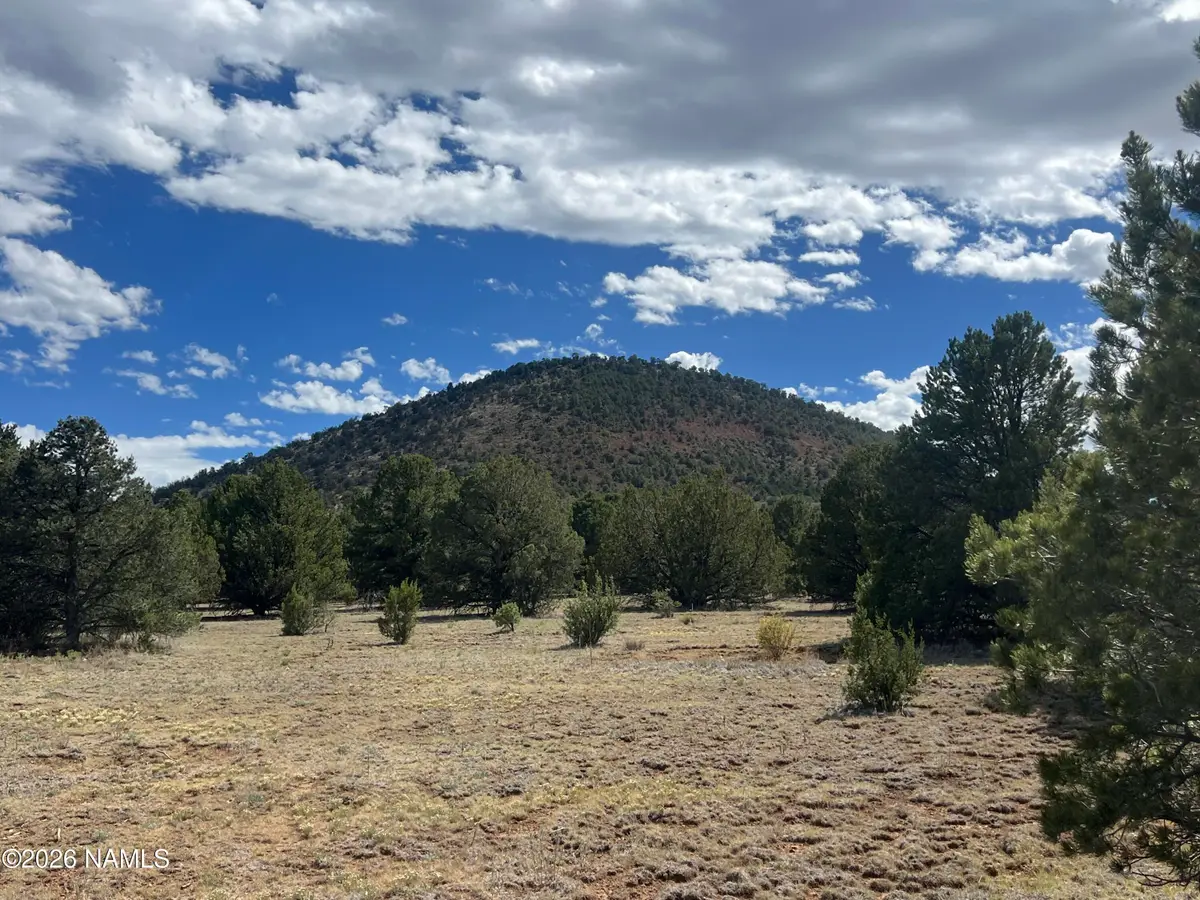 7432 Daisy Drive, Williams, AZ 86046 - #1