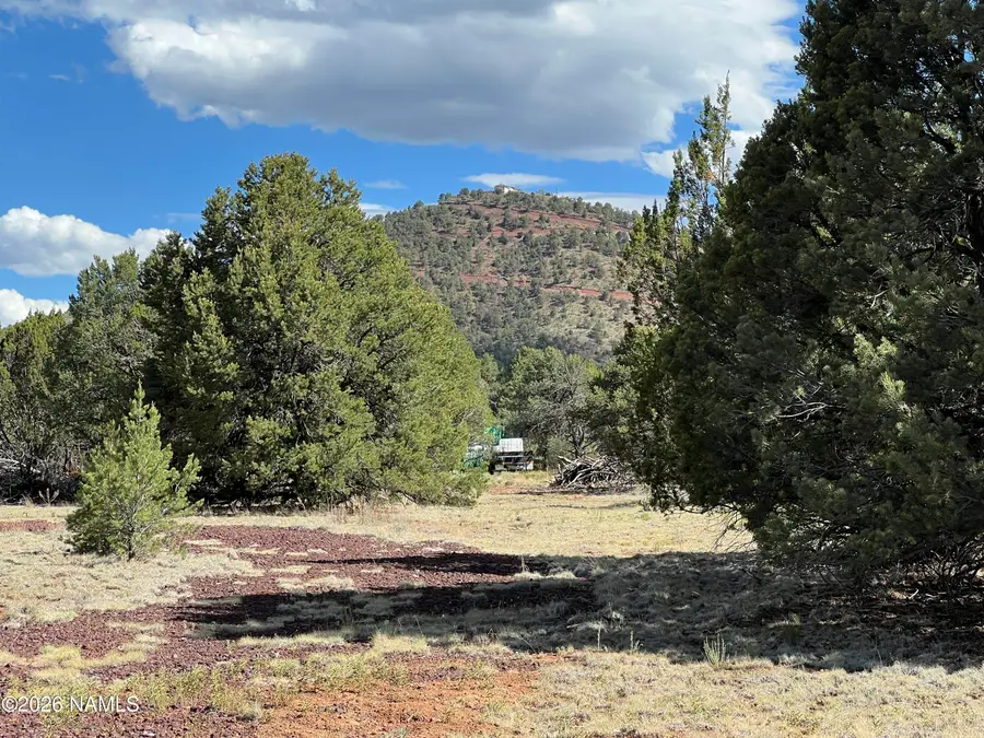 7432 Daisy Drive, Williams, AZ 86046 - #3