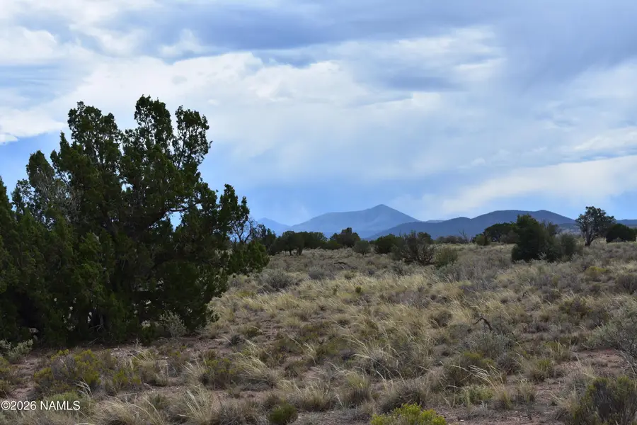 1360 E Mission Drive, Williams, AZ 86046 - #3