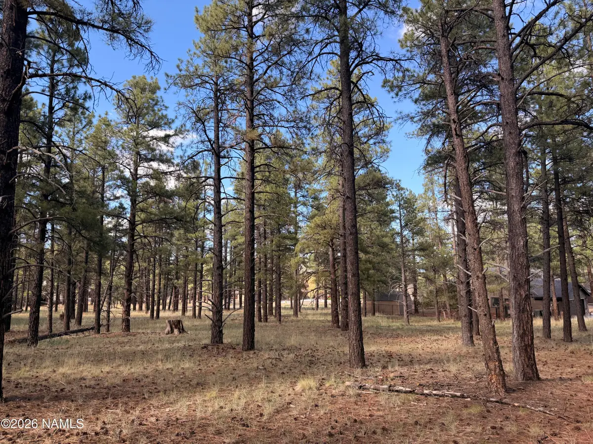 3222 W Grey Hawk, Williams, AZ 86046 - #1