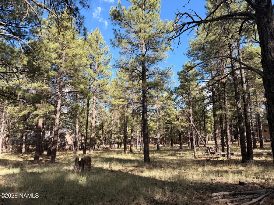 3222 W Grey Hawk, Williams, AZ 86046 - #3