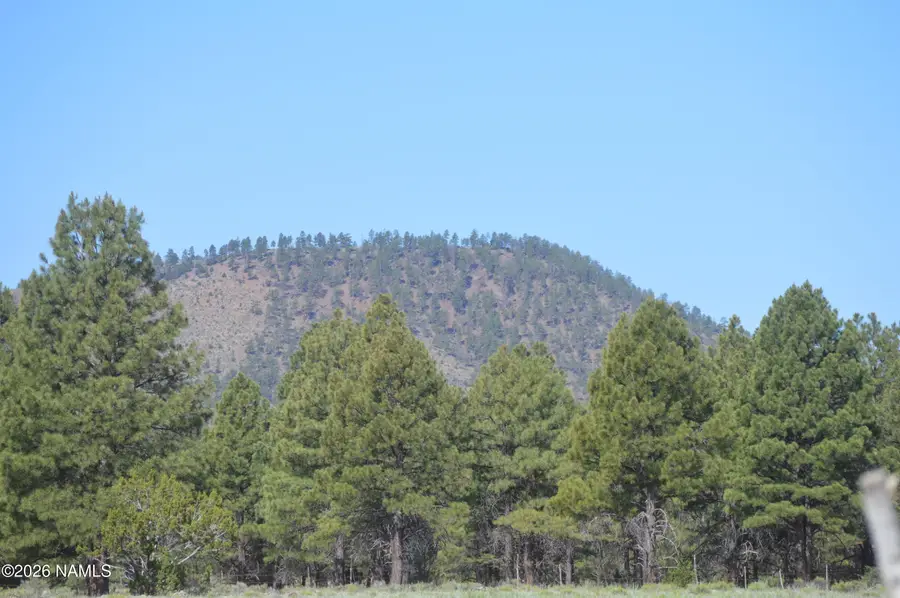 10440 Forest Service Rd 144, Parks, AZ 86018 - #2
